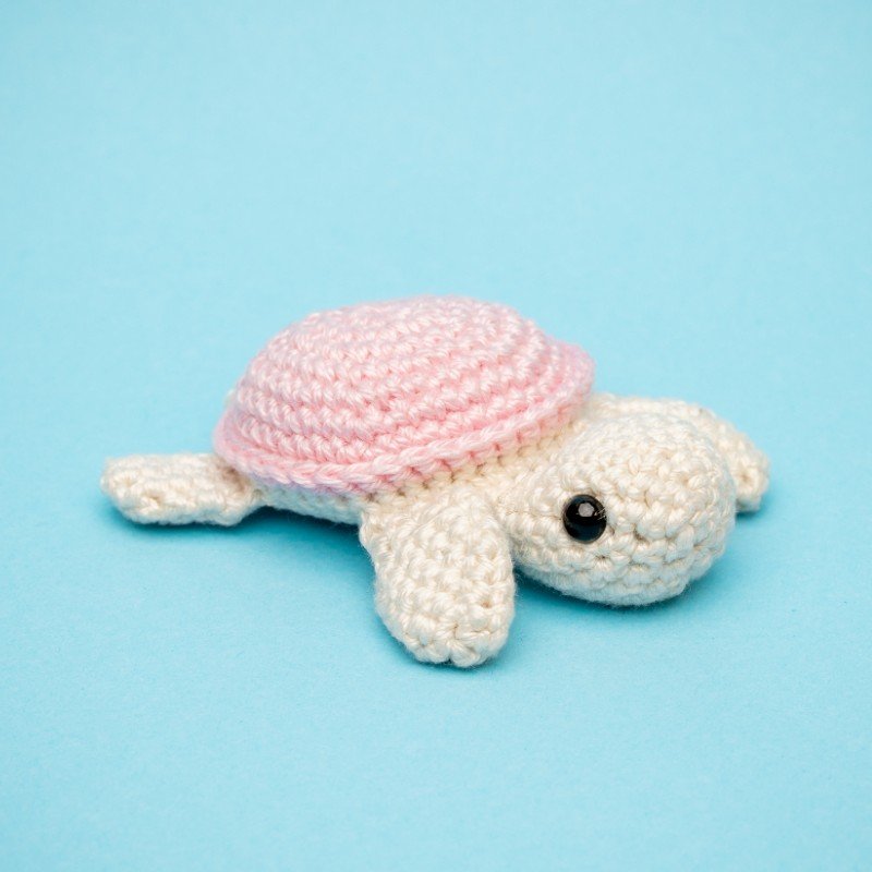 Schildkröte rosa