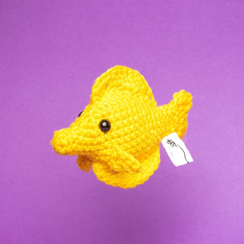 Fisch - gelber Segelflossendoktor
